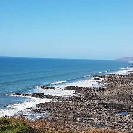 Wyvern House Bed and breakfast Bude