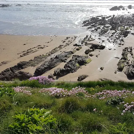 Wyvern House Bude